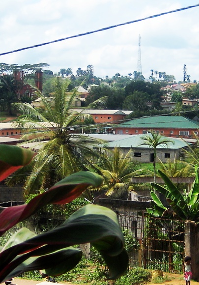 THE RESEARCH ADVISORY COUNCIL